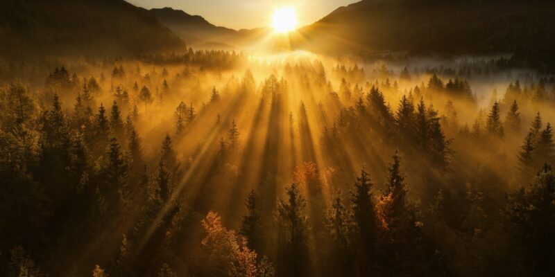 Photo of sunrise over a misty forest