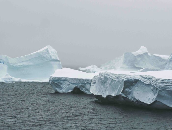 Companies face financial risks from growing climate damage litigation 