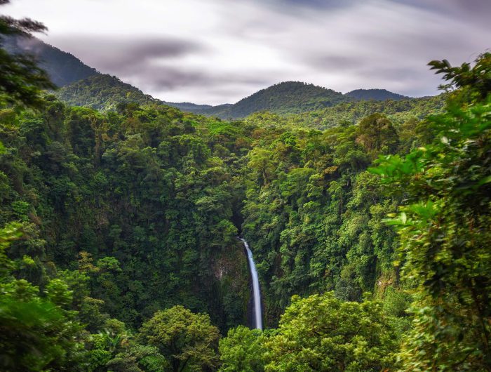 Reforming climate finance: Debt for nature swaps in Latin America