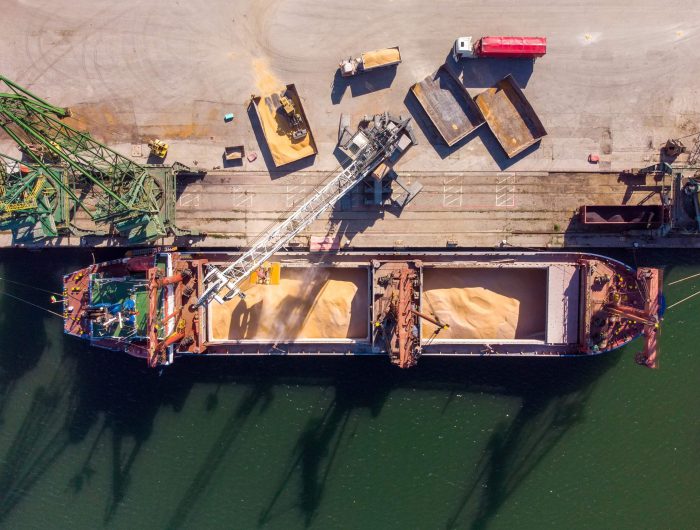 Do we need deep sea mining for the energy transition?