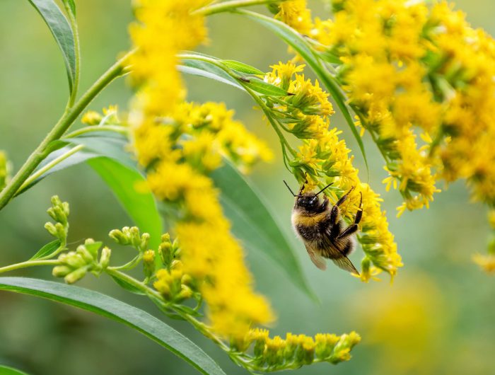 Finding economic value in nature beyond carbon