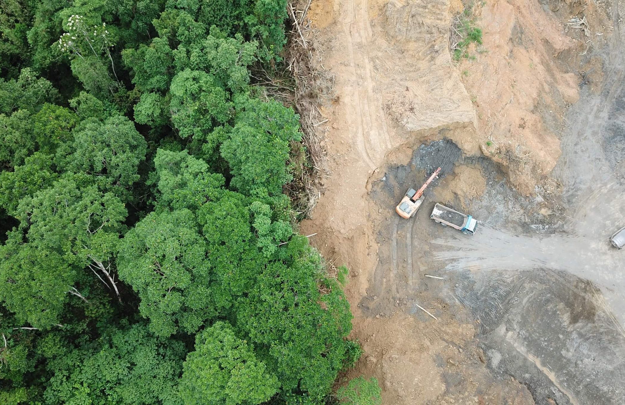 Net-zero progress overblown by inconsistencies in land carbon accounting