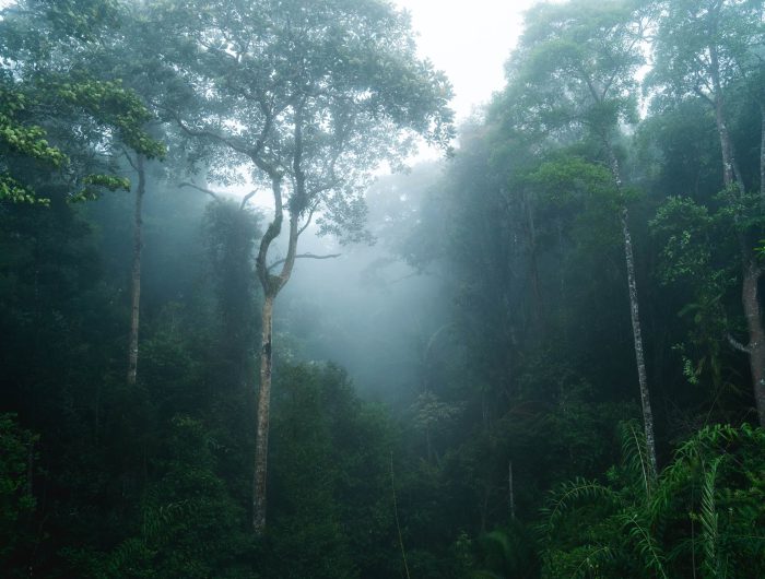 Risks and opportunities for nature-based solutions in Latin America and the Caribbean 