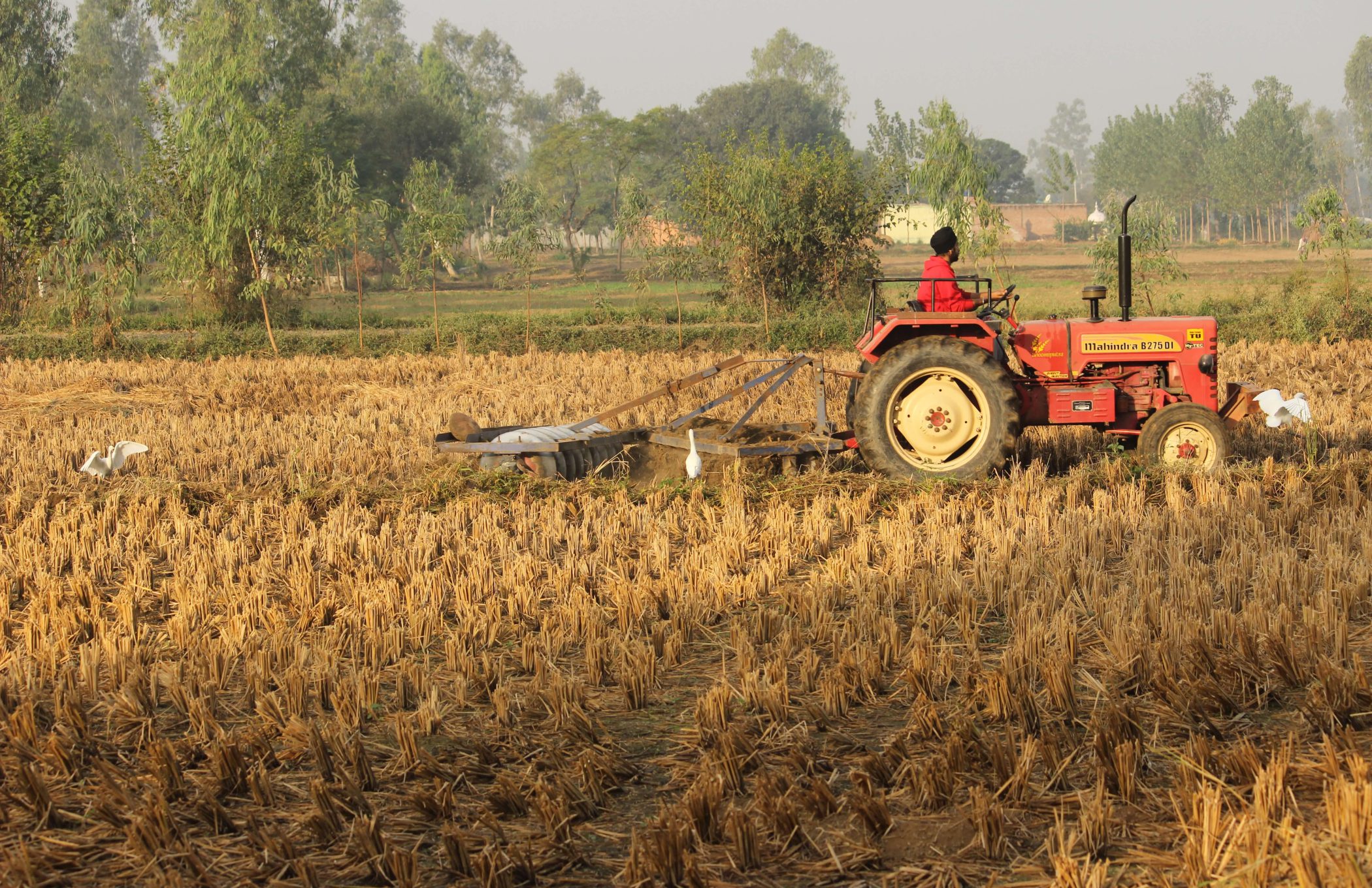 The IPCC report on land use and climate change