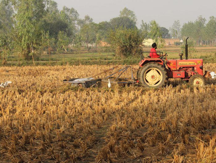 The IPCC report on land use and climate change
