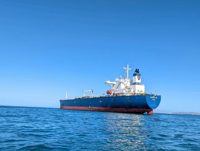 The EU does not need new US LNG to replace Russian gas
