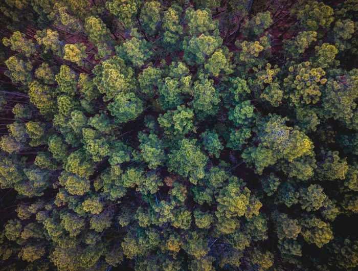 Oil and gas fuelling extreme weather in Brazil