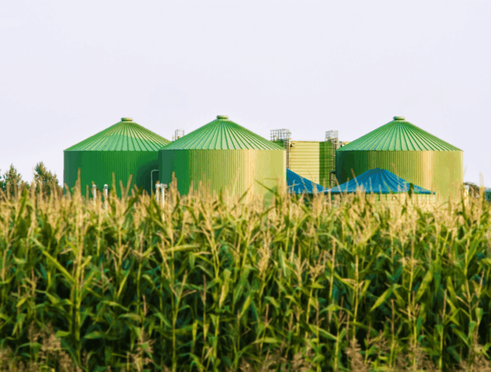 Biogas and its role in the energy transition