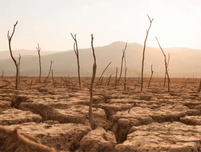 Exploring a comprehensive loss and damage facility for African countries