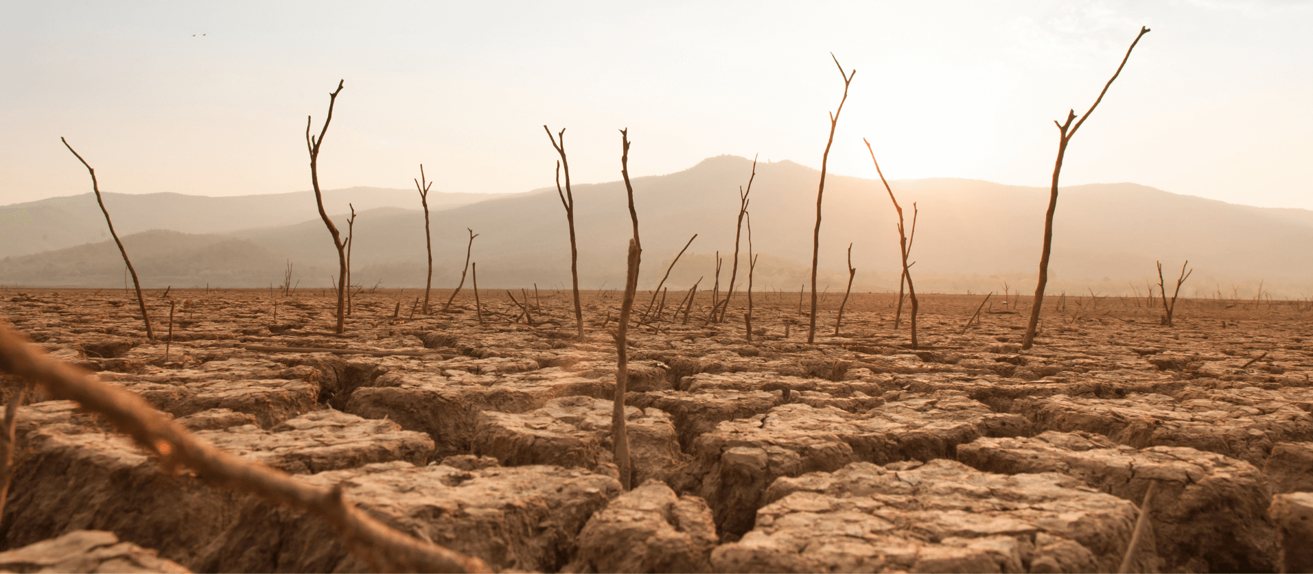 Exploring a comprehensive loss and damage facility for African countries