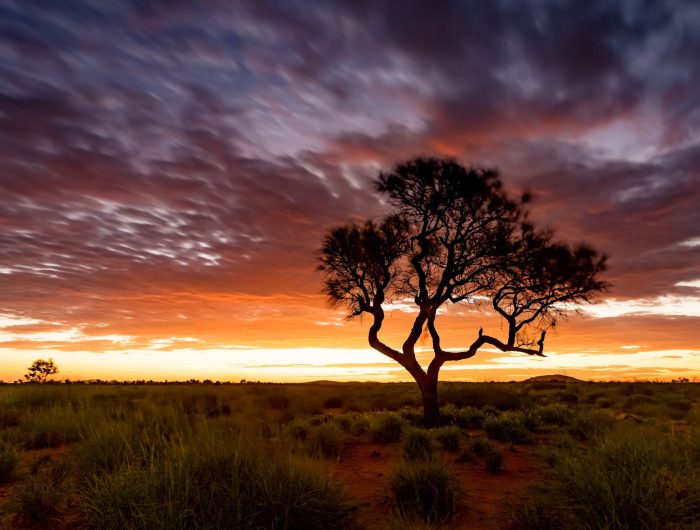 Australia, a global climate outlier?