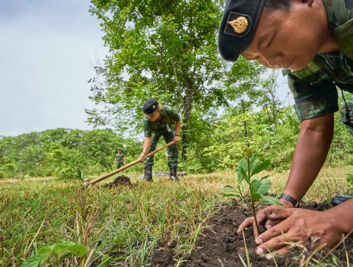 IPCC WGIII report: The land sector and climate mitigation
