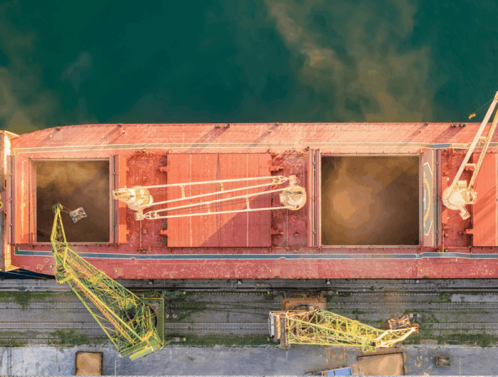 Ship being loaded with grain