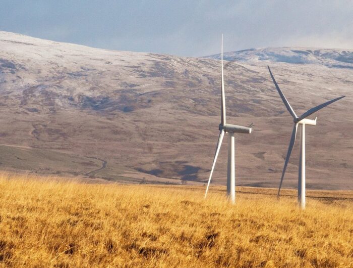 Investing in a net-zero economy