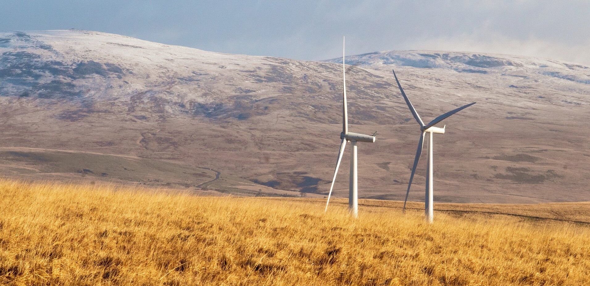 Investing in a net-zero economy