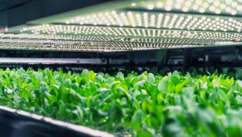 food systems