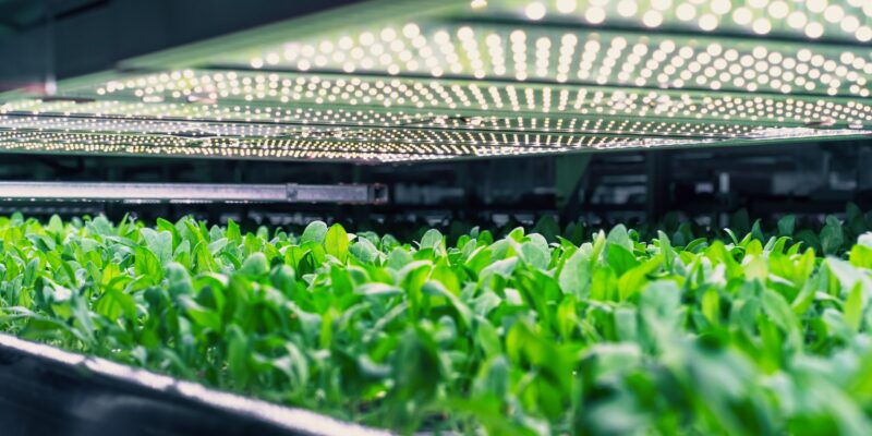 food systems