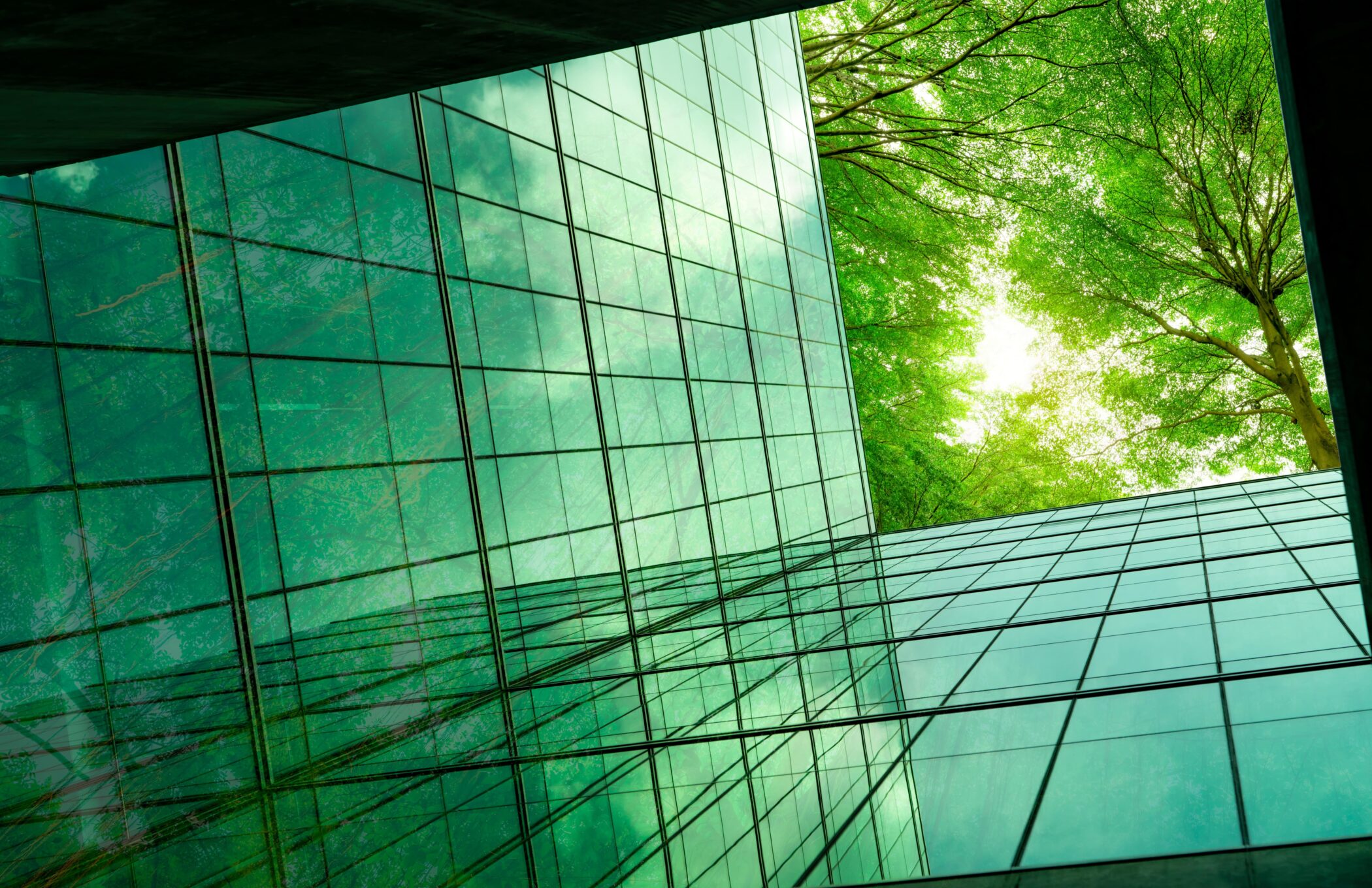 Debunking common renewable energy myths