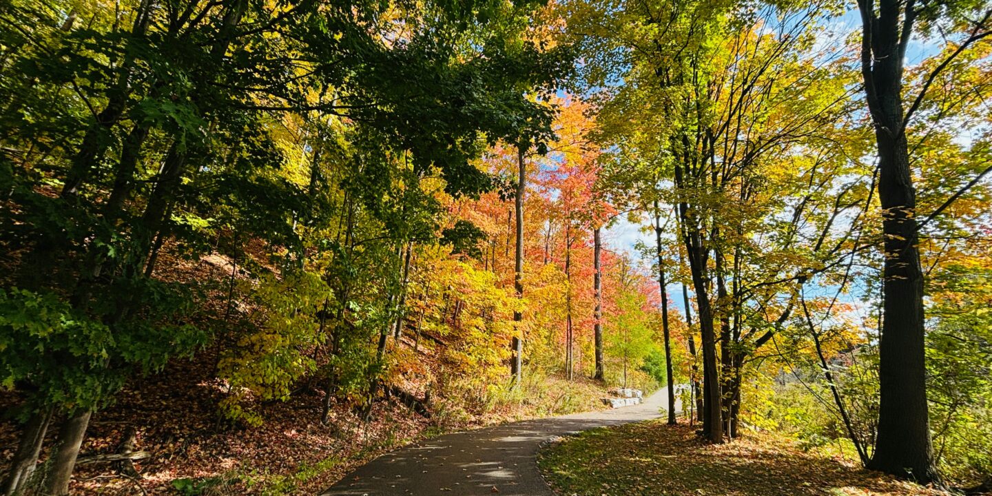 Asset managers feeling the heat on climate from pension funds