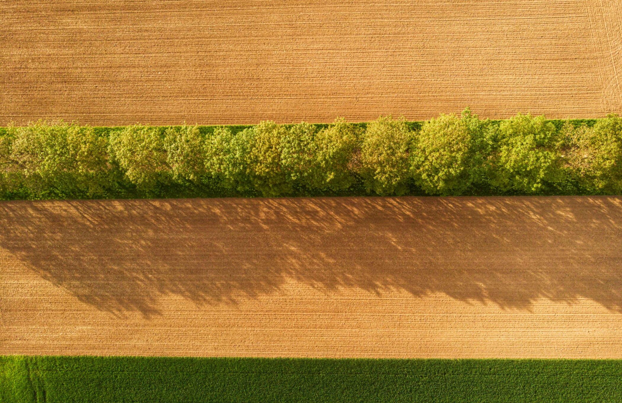 Strait of Hormuz disruption highlights the case for reducing fertiliser dependence