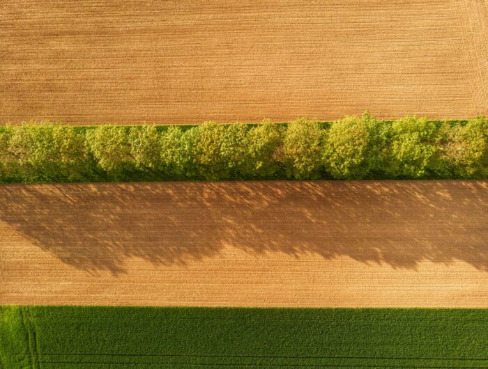 Strait of Hormuz disruption highlights the case for reducing fertiliser dependence