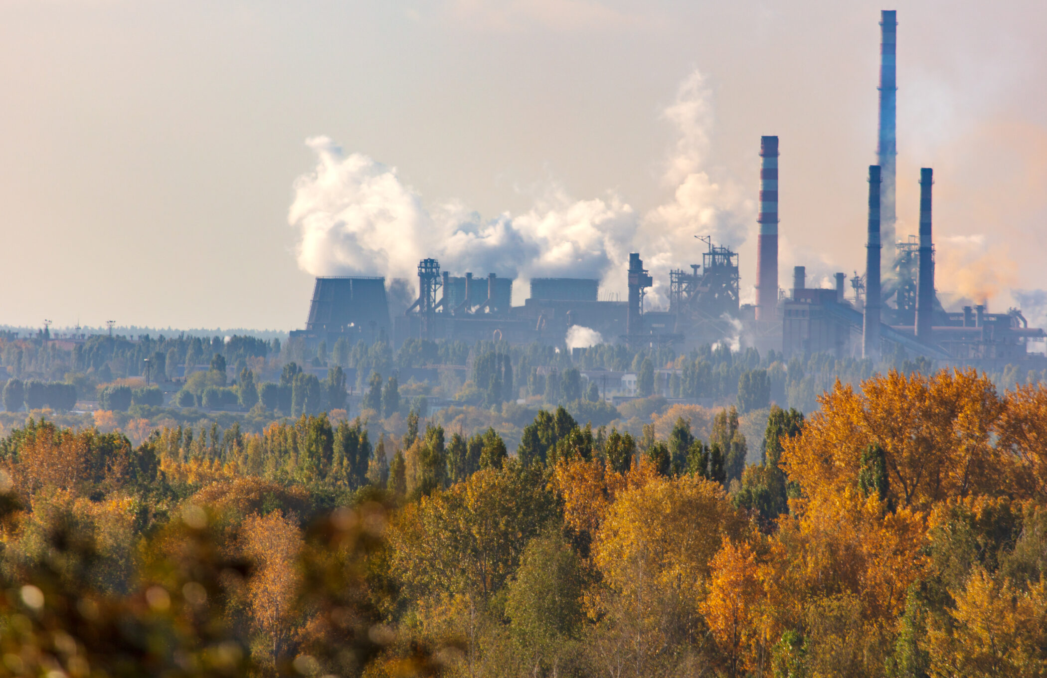 Offsetting is no substitute for emissions cuts