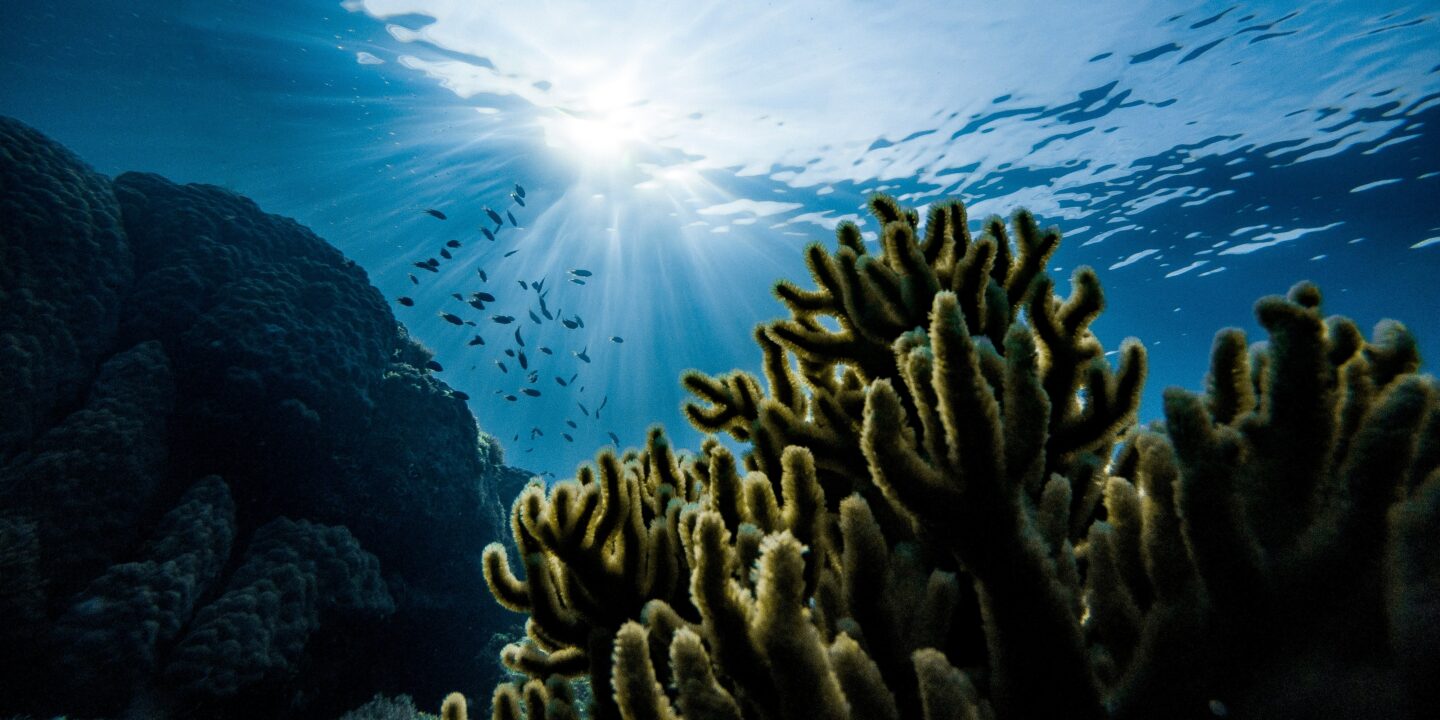 Public investment in the blue economy has nearly doubled in the past decade, but funding still falls short of global needs