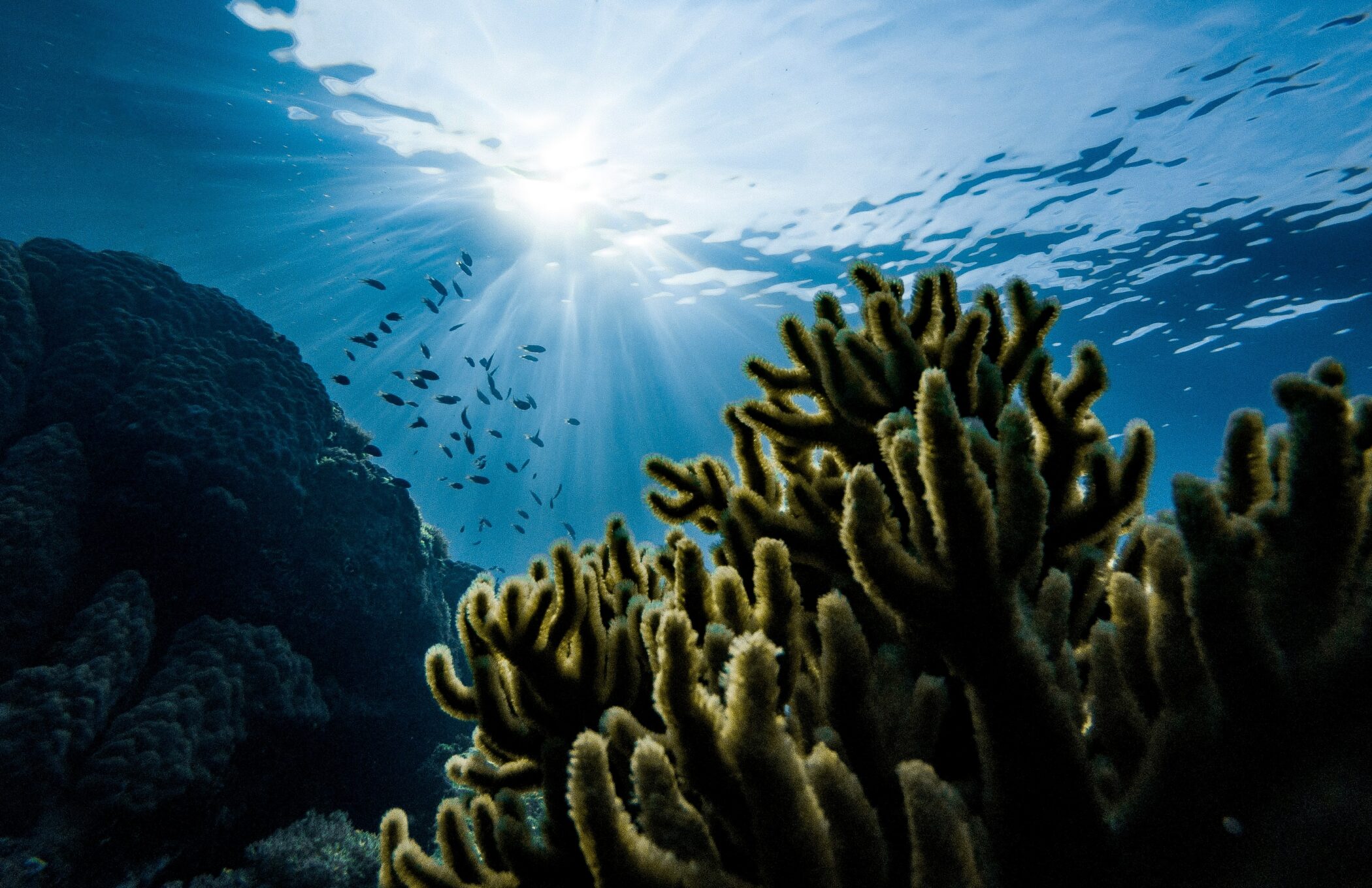 Public investment in the blue economy has nearly doubled in the past decade, but funding still falls short of global needs