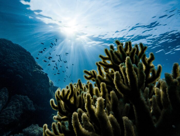 Public investment in the blue economy has nearly doubled in the past decade, but funding still falls short of global needs