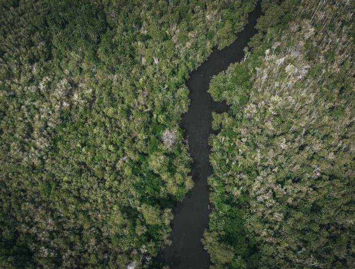 Almost USD 1 billion in Europe-bound Brazilian soy exposed to river port disruption annually by mid-century