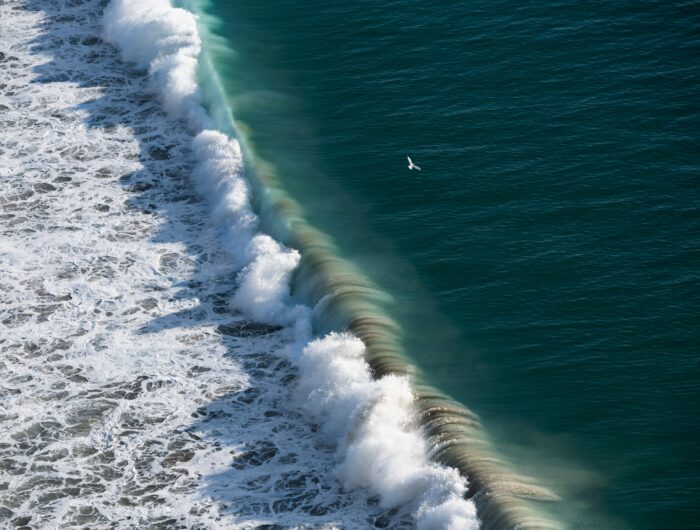 Photograph of a powerful ocean wave breaking along a beach
